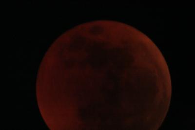 img_8247.jpg